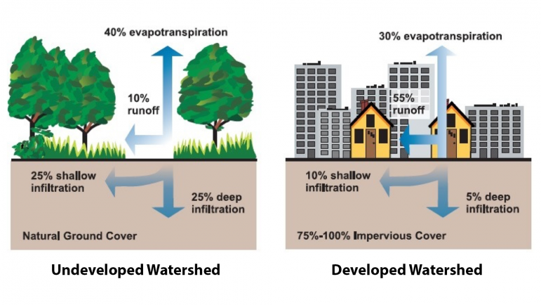 Compared to a natural watershed, an urbanized watershed with largely impervious surfaces can generate more than five times the amount of runoff. There is also less shallow and deep infiltration of groundwater.
