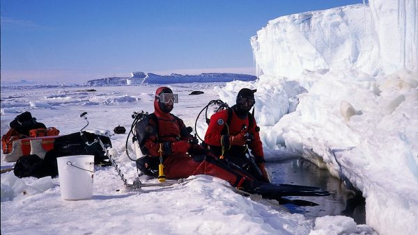 https://wbhm.org/wp-content/uploads/2018/09/antarctic.pictures.superb_031-600x338.jpg