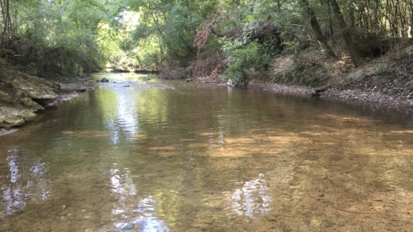 https://wbhm.org/wp-content/uploads/2018/12/River_Water_Fulmore_2018-600x338.png