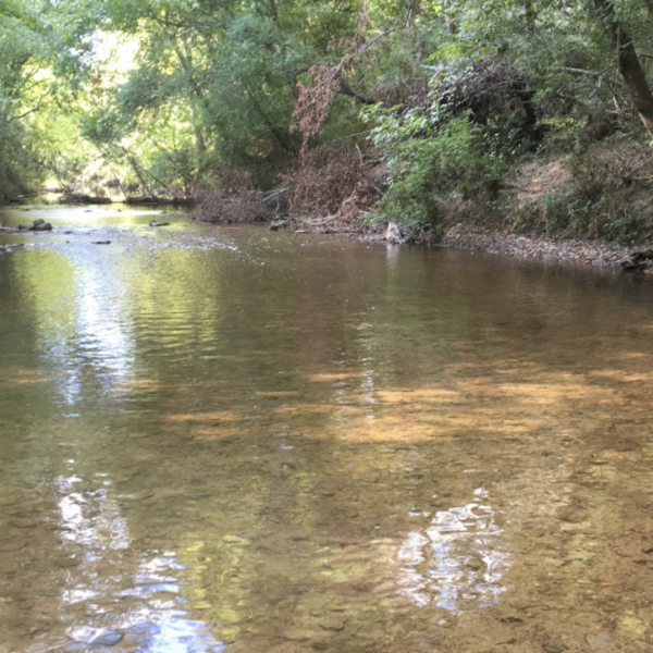 https://wbhm.org/wp-content/uploads/2018/12/River_Water_Fulmore_2018-600x600.png