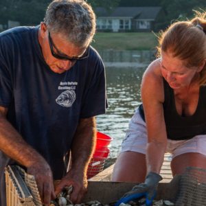 https://wbhm.org/wp-content/uploads/2019/11/Andy-Diane-Depaola-sorting-oysters-1024x575-300x300.jpg