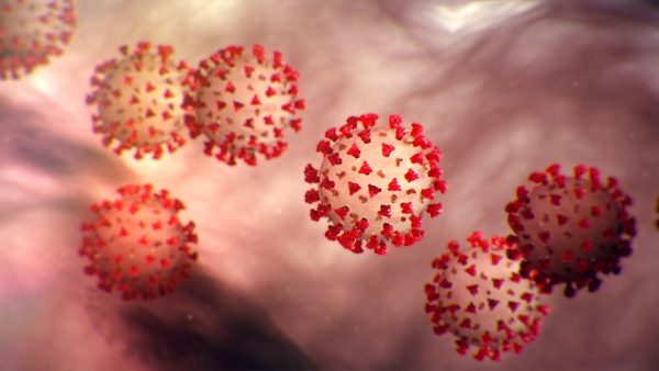 https://wbhm.org/wp-content/uploads/2020/03/CDC_outbreak-coronavirus-world-1024x506px-600x338.jpg