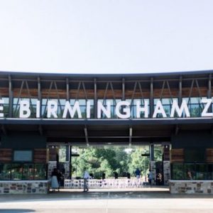 https://wbhm.org/wp-content/uploads/2020/04/BHAM_ZOO_FRONT_3-600x338-1-300x300.jpg