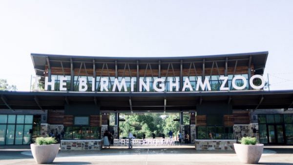 https://wbhm.org/wp-content/uploads/2020/04/BHAM_ZOO_FRONT_3-600x338-1-600x338.jpg