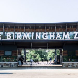 https://wbhm.org/wp-content/uploads/2020/04/BHAM_ZOO_FRONT_3-e1585942387194-300x300.jpg