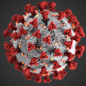 https://wbhm.org/wp-content/uploads/2020/06/Coronavirus_CDC-300x300.png