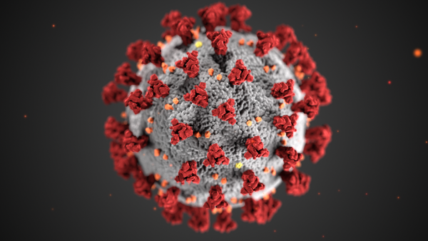 https://wbhm.org/wp-content/uploads/2020/06/Coronavirus_CDC-600x338.png