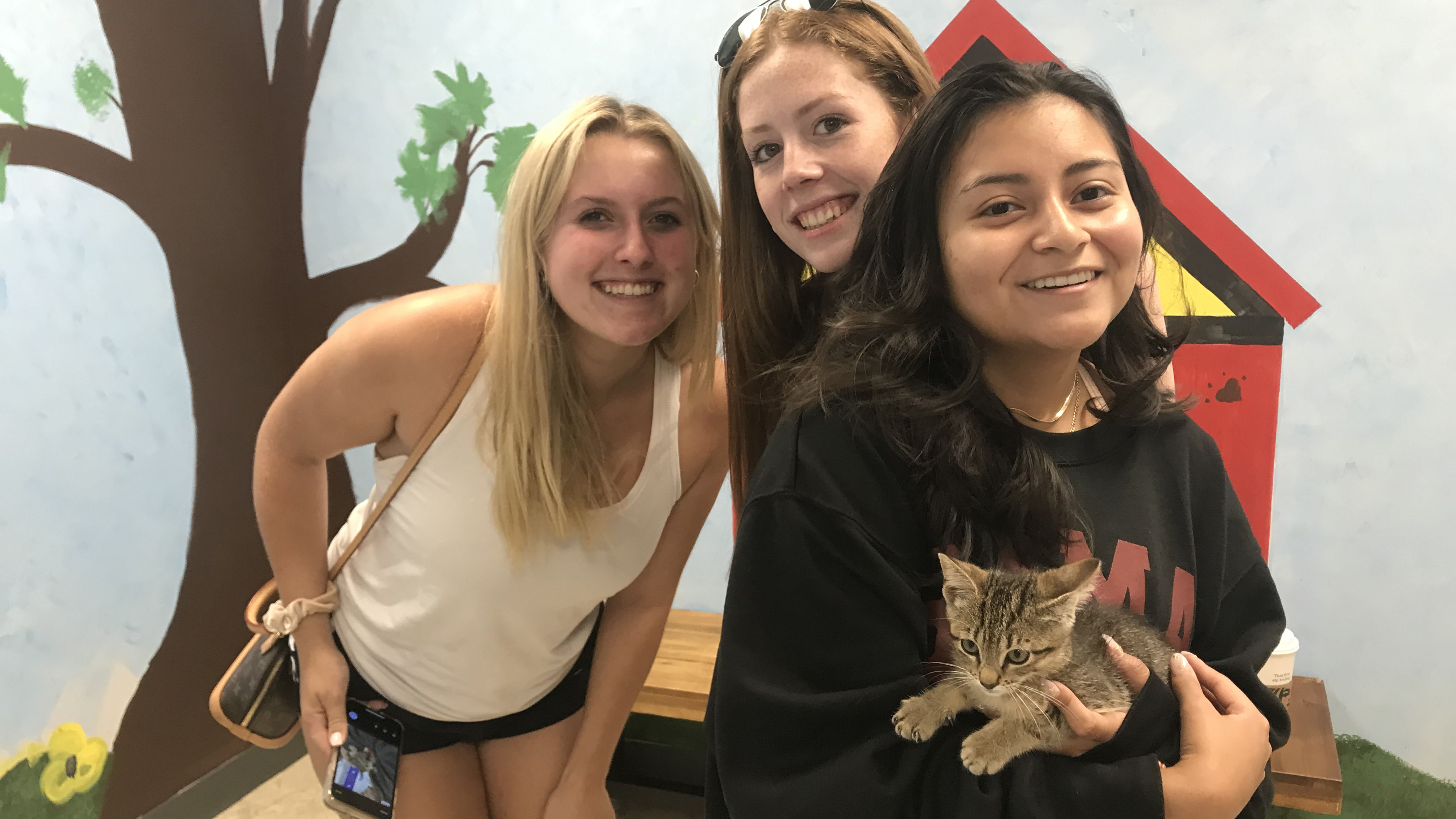 Ally Leerink (left) considered getting herself a puppy after she and Amanda Oates (center) watched Beatrice Garcia (right) pick up a kitten. 