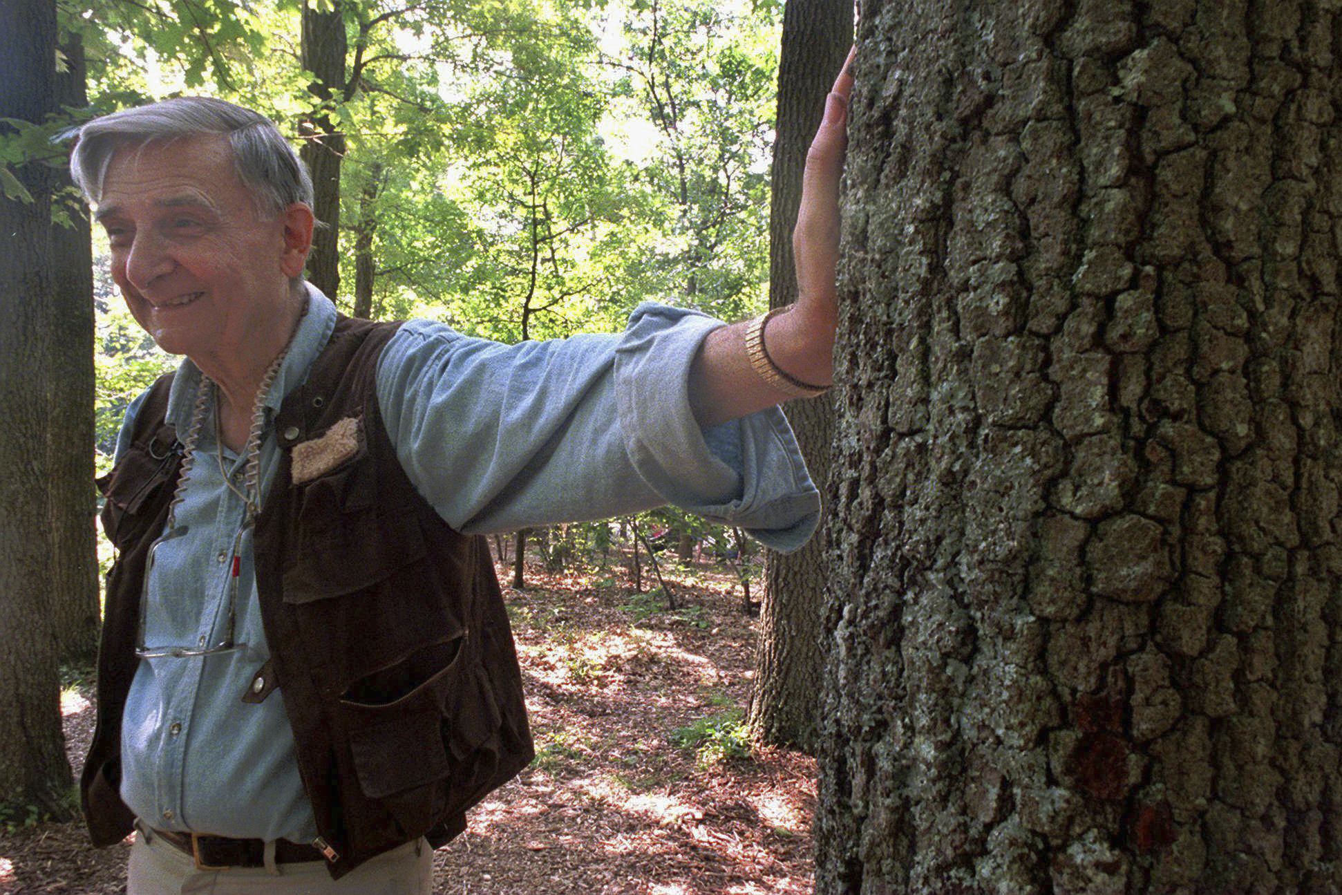 Biologist Edward O Wilson poses by tree