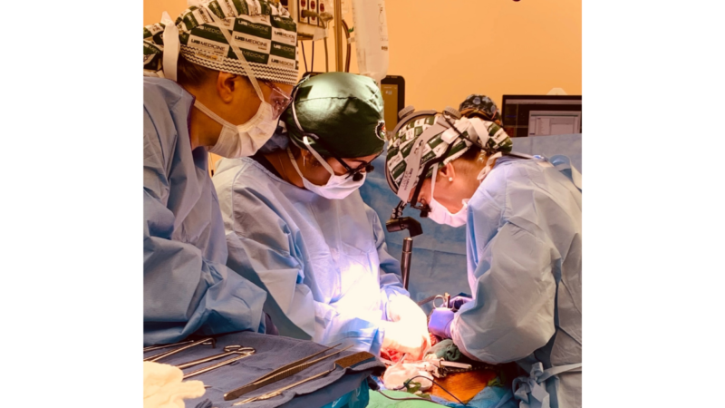 UAB's surgical team prepares the abdomen of the brain-dead recipient for xenotransplantation.