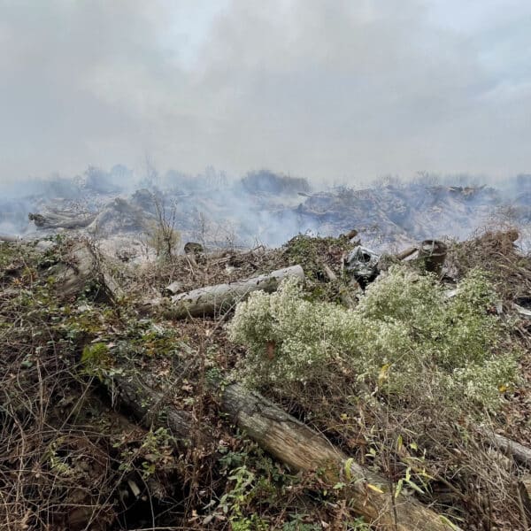 https://wbhm.org/wp-content/uploads/2022/12/Moody_landfill_fire_photo_1-600x600.jpg