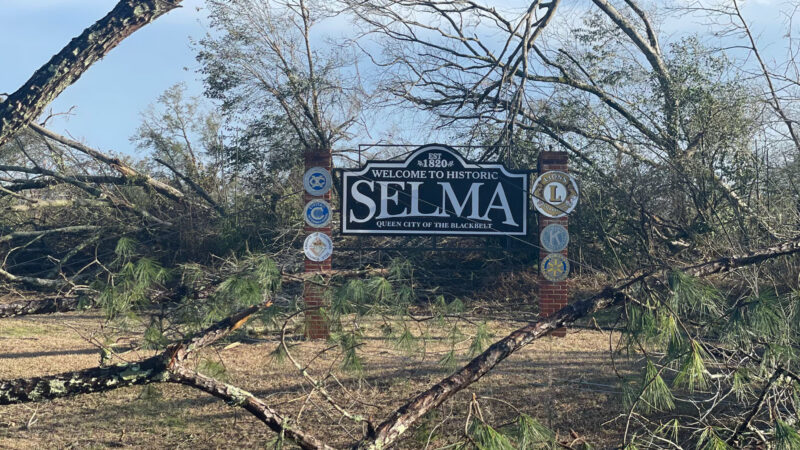 Fallen trees and tree limbs surround a sign that reads "Welcome to Historic Selma."