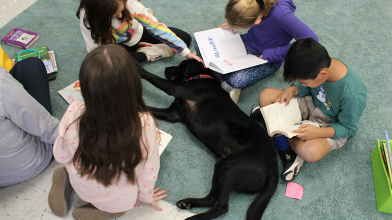 Merlin sprawls out on the rug of Sarah Bishop's 3rd grade classroom at West Elementary School. They're reading to him their favorite books.