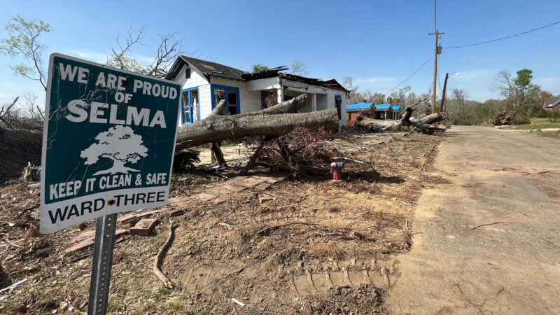 A home is in the background next to large downed trees. A sign in the foreground reads "We are proud of Selma. Keep it clean & safe. Ward Three."