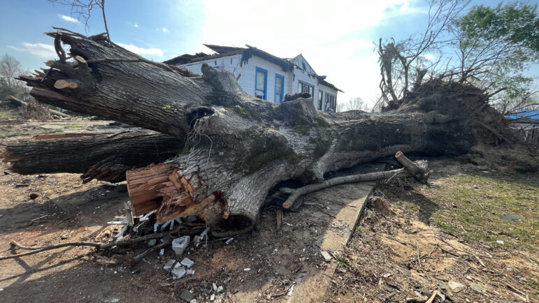 A downed tree in front of a damaged home in Selma.