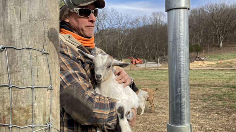 Chris Gramling cradles one of his goats while leaning against a fence post on his farm in Culleoka, Tennessee.