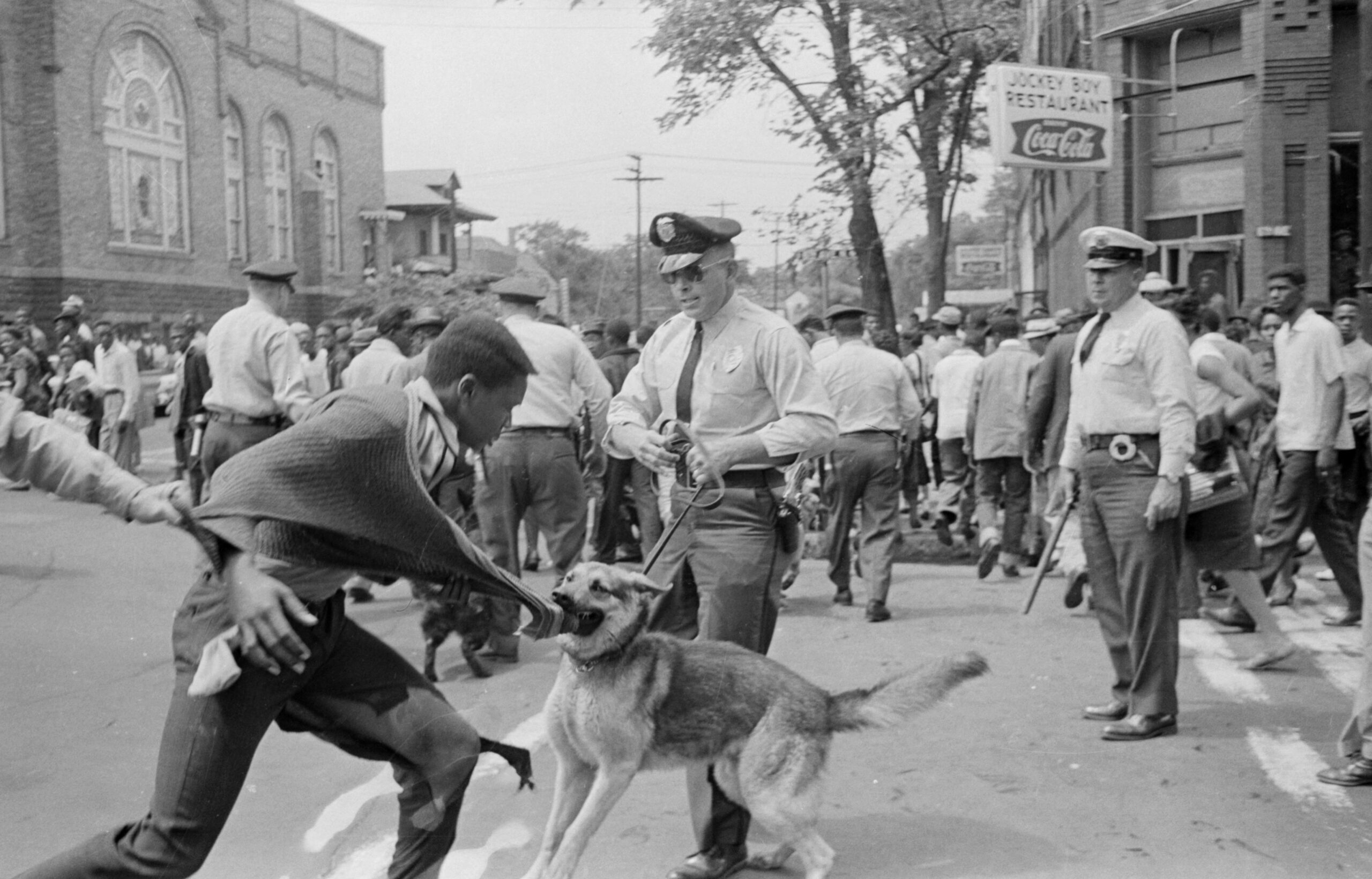 civil rights marches dogs