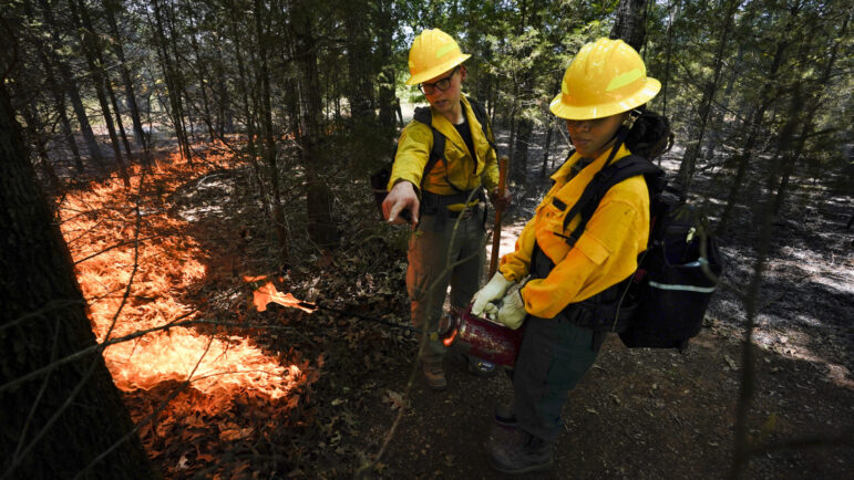 Instructor Ben McLane, left, helps teach Kerstin Joseph, right, as they start a prescribed fire during a wildland firefighter training Friday, June 9, 2023, in Hazel Green, Ala. A partnership between the U.S. Forest Service and four historically Black colleges and universities is opening the eyes of students of color who had never pictured themselves as fighting forest fires. (AP Photo/George Walker IV)