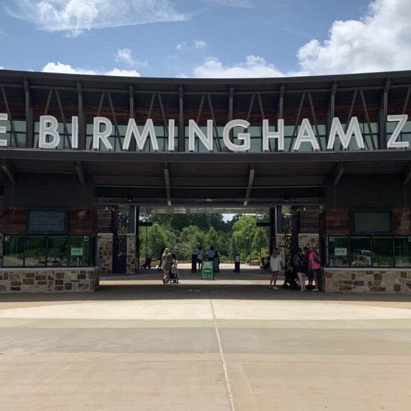 https://wbhm.org/wp-content/uploads/2023/07/Birmingham_Zoo_copy-scaled-e1689185867261-600x600.jpg