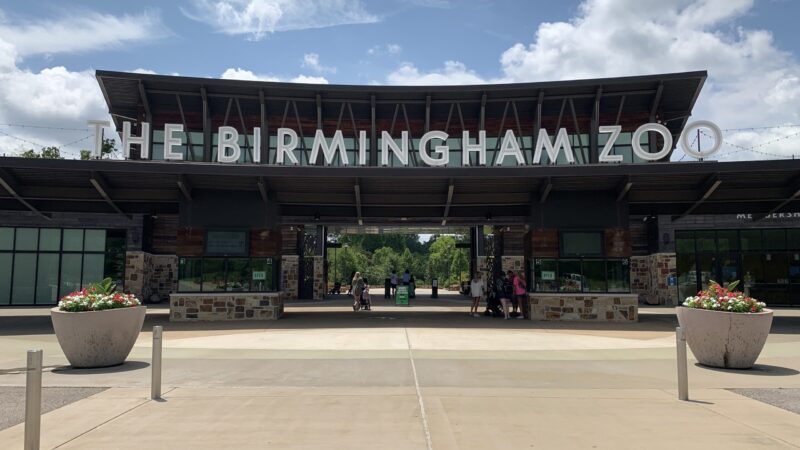 The Birmingham Zoo opened in the 1950s.