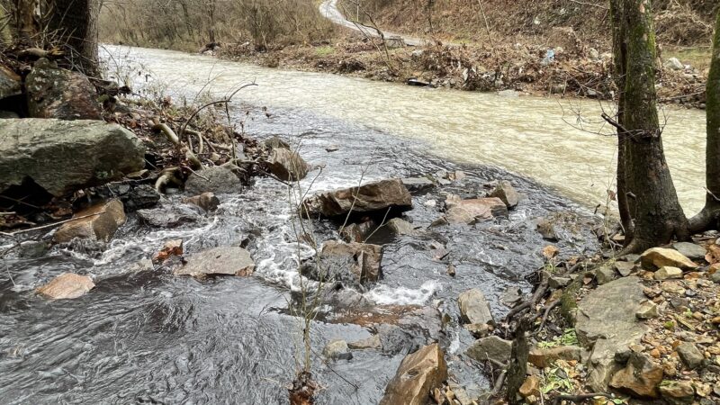 In this contributed photo, black polluted water from Bluestone Coke flows into Five Mile Creek.