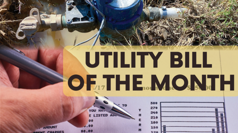 https://wbhm.org/wp-content/uploads/2023/07/Utility_Bill_of_the_Month_3-800x450.png