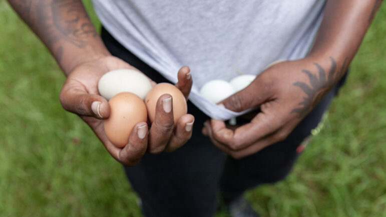 Dolabriel Curry-Hurst continues her daily tradition of collecting eggs from her chickens to teach her kids a lesson in self-sufficiency on July 13, 2023, in Duncanville, Alabama.