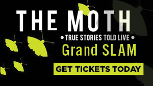moth