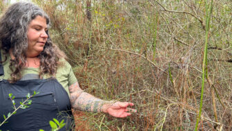 Angie Comeaux identifies plants growing on her farm on Friday, January 26, 2024, in Florala, Alabama. Comeaux started an indigenous food forest to reintroduce biodiversity into the local ecosystem.