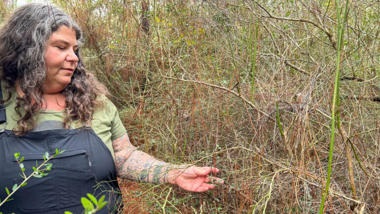 Angie Comeaux identifies plants growing on her farm on Friday, January 26, 2024, in Florala, Alabama. Comeaux started an indigenous food forest to reintroduce biodiversity into the local ecosystem.