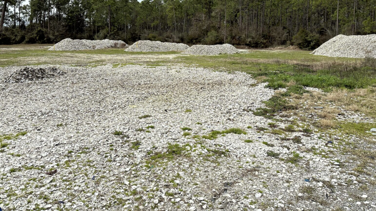 Old oyster shells cure in a field in Gulf Shores, Alabama, on Feb. 9, 2024.