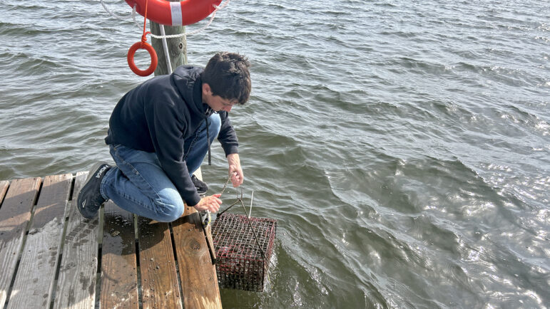 A Gulf Shores High School student tends to oyster gardens at the Little Lagoon Preservation Society’s oyster gardens in Gulf Shores, Alabama, on Feb. 9, 2024.
