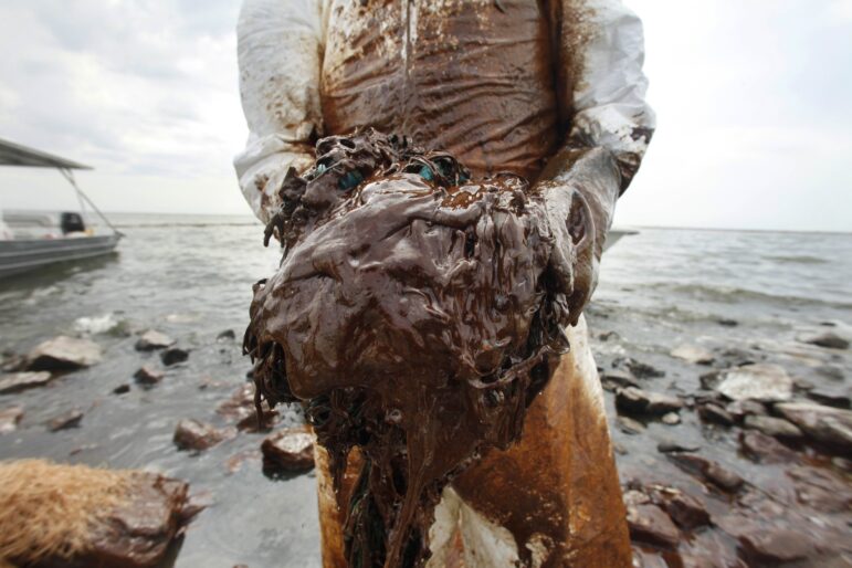 A cleanup worker picks up blobs of oil in absorbent snare on Queen Bess Island at the mouth of Barataria Bay near the Gulf of Mexico