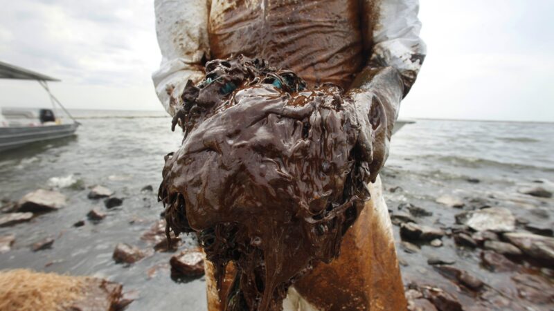 A cleanup worker picks up blobs of oil in absorbent snare on Queen Bess Island at the mouth of Barataria Bay near the Gulf of Mexico