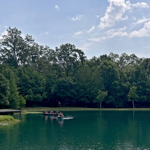 https://wbhm.org/wp-content/uploads/2024/06/HeatKids_Paddle_Boats-600x600.jpg