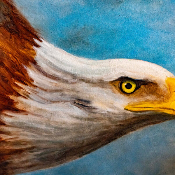 https://wbhm.org/wp-content/uploads/2024/07/Bald_Eagle_ICN-600x600.jpg