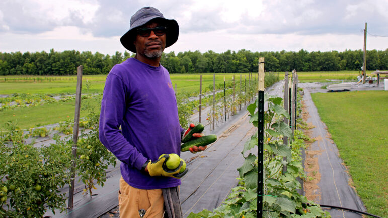 Robbie Pollard holds vegetables harvested from his farm in Marks, Mississippi, on Wednesday, June 19, 2024.