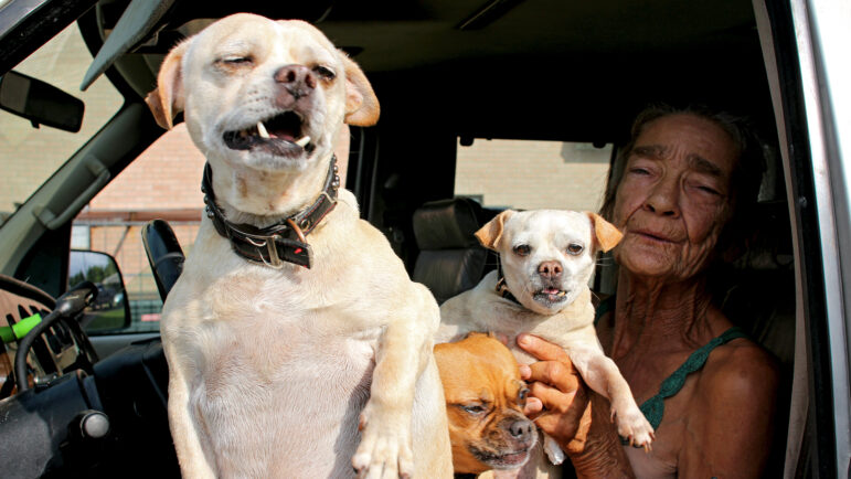 Viola Loving sits in her car with her three dogs in Lowndesboro, Alabama, on Aug. 22, 2024.