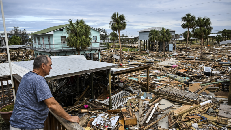 https://wbhm.org/wp-content/uploads/2024/09/gettyimages-2174219458-800x450.png