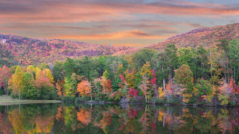 https://wbhm.org/wp-content/uploads/2024/10/Cheaha_State_Park_AdobeStock-800x450.jpeg