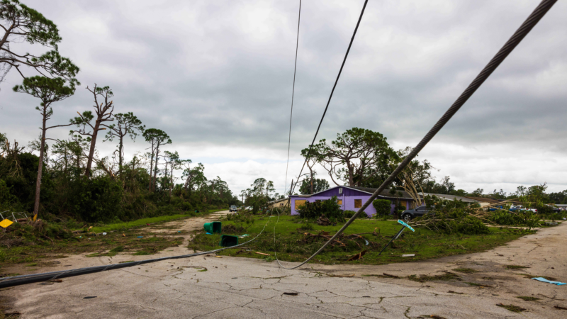 https://wbhm.org/wp-content/uploads/2024/10/gettyimages-2177041355-800x450.png