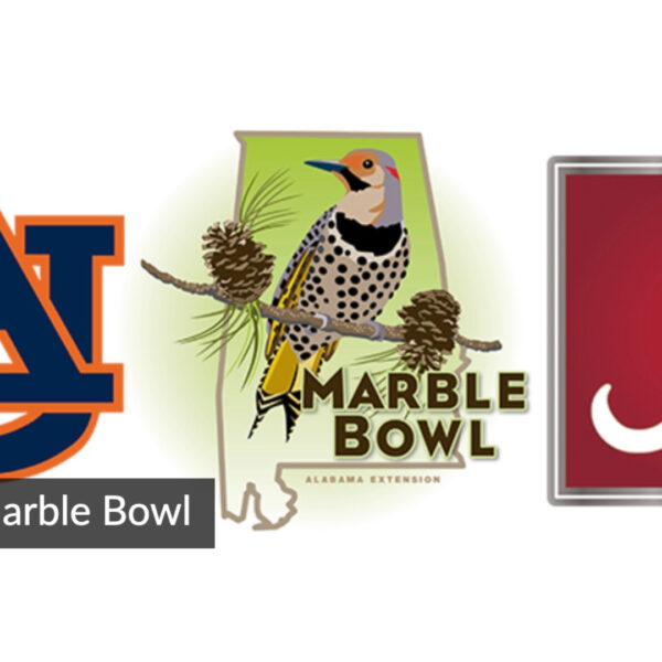 https://wbhm.org/wp-content/uploads/2024/11/Marble_Bowl_Landscape-600x600.jpeg