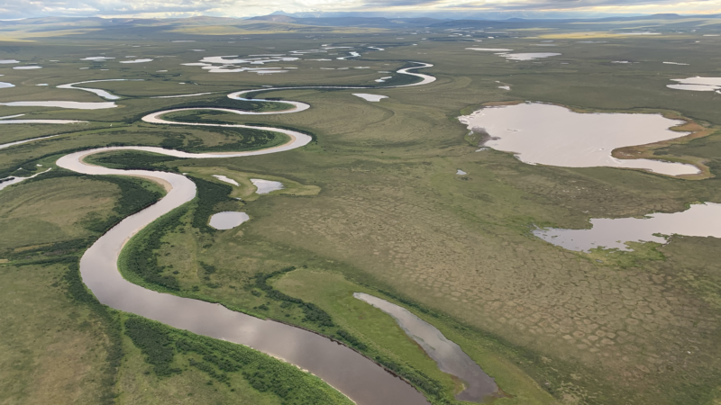 https://wbhm.org/wp-content/uploads/2024/12/4-alaskan-tundra-noaa-800x450.png