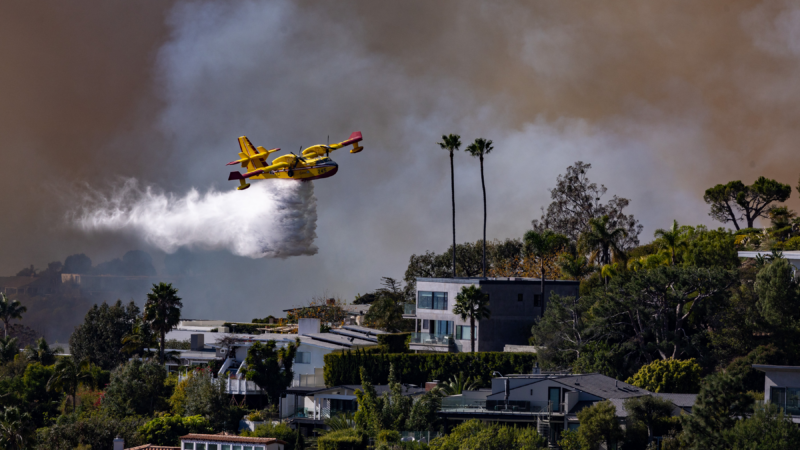 https://wbhm.org/wp-content/uploads/2025/01/gettyimages-2192327428-800x450.png