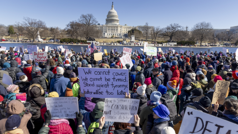 https://wbhm.org/wp-content/uploads/2025/02/250217-protest-08-800x450.png