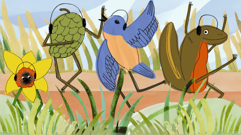 https://wbhm.org/wp-content/uploads/2025/03/spring-is-springing-800x450.png