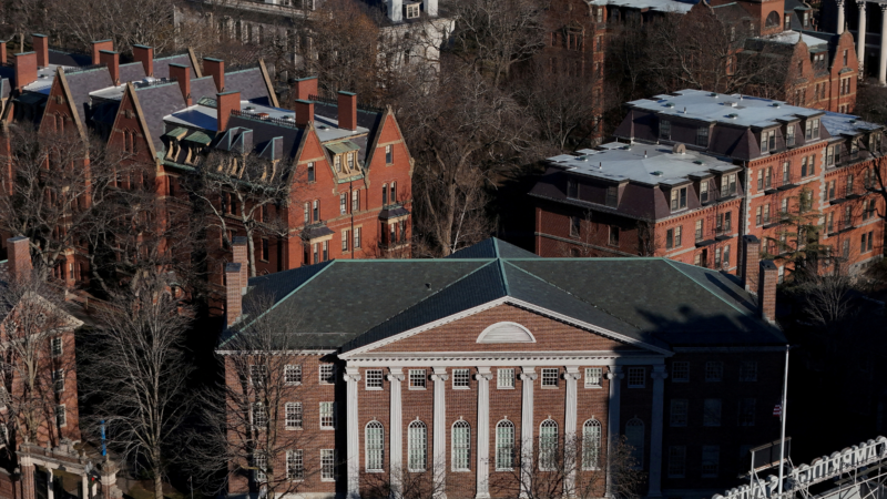 https://wbhm.org/wp-content/uploads/2025/04/2025-04-12t195515z-2096428793-rc2pv4ah2i9v-rtrmadp-3-usa-trump-harvard-lawsuit-800x450.png