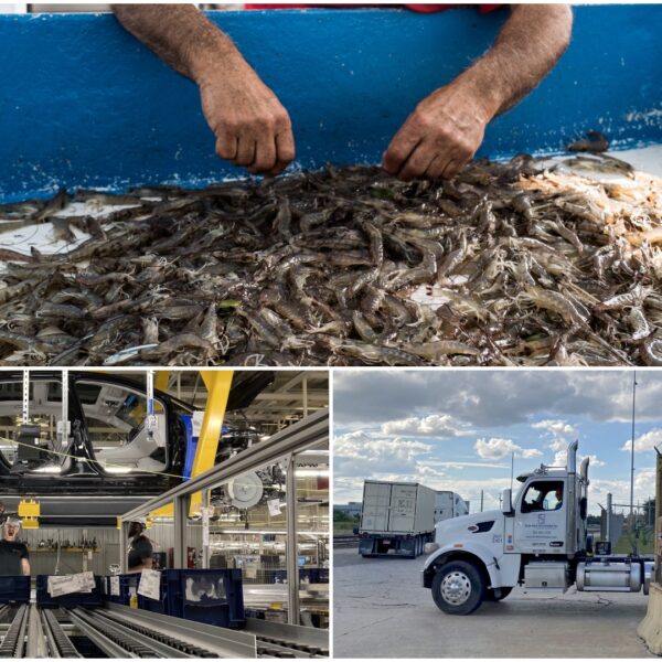 https://wbhm.org/wp-content/uploads/2025/04/Tariffs_Collage-600x600.jpg