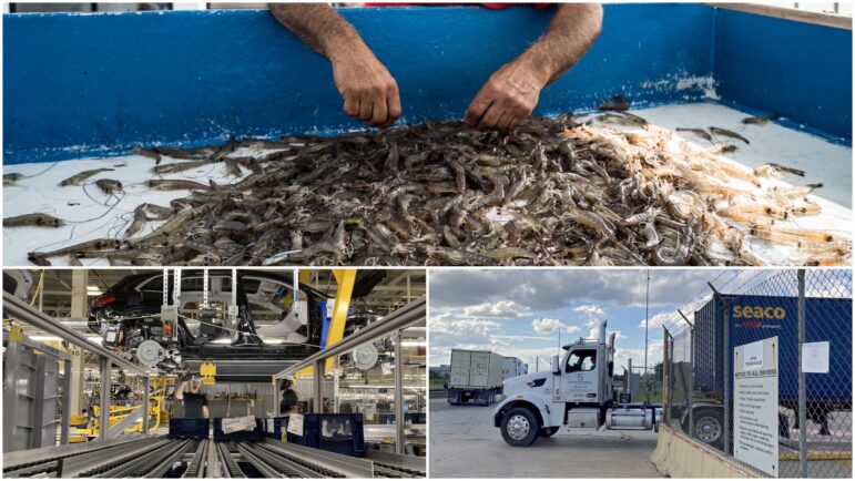 President Donald Trump's tariffs have caused a mixed reaction across industries in the Gulf South, including shrimping, automobile manufacturing and shipping.