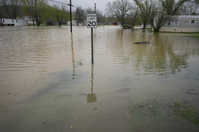 Residential streets are flooded by the rising Licking River, Sunday, April 6, 2025, in Falmouth, Ky. (AP Photo/Carolyn Kaster)